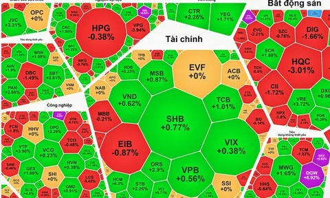 Cổ phiếu Vingroup đảo chiều tăng, VN-Index lấy lại mốc 1.315 điểm