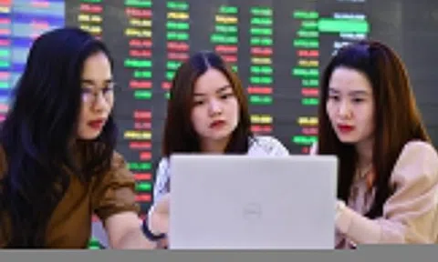 Cổ phiếu 'họ Vin' lao dốc ngược dòng thị trường