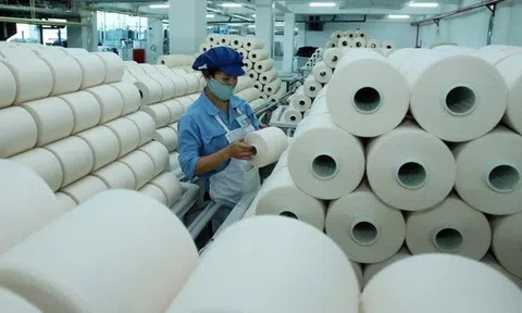 Lãnh đạo Sợi Thế Kỷ bán toàn bộ gần 6,9 triệu cổ phiếu STK đang nắm giữ