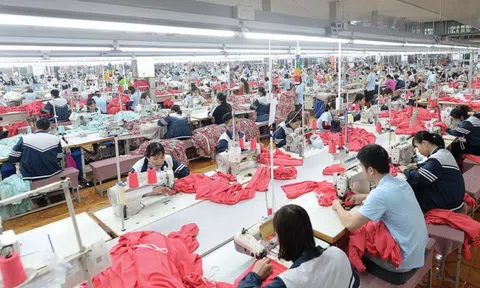 May Sông Hồng có bị ảnh hưởng trong thời gian tới khi Mỹ là thị trường chủ lực?