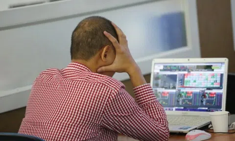 Góc nhìn chuyên gia: Chứng khoán bước vào pha "khó nhằn", tập trung nhóm ngành tăng trưởng lợi nhuận và hỗ trợ từ chính sách