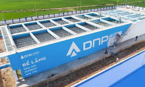 DNP Holding chi 150 tỷ đồng thành lập công ty con tại Bà Rịa - Vũng Tàu
