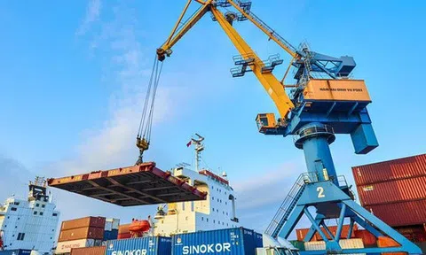 Viconship hoàn tất phát hành 74,8 triệu cổ phiếu trả cổ tức và cổ phiếu thưởng