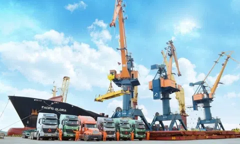 Chủ tịch và Tổng Giám đốc Viconship cùng ứng cử vào HĐQT Vận tải và xếp dỡ Hải An