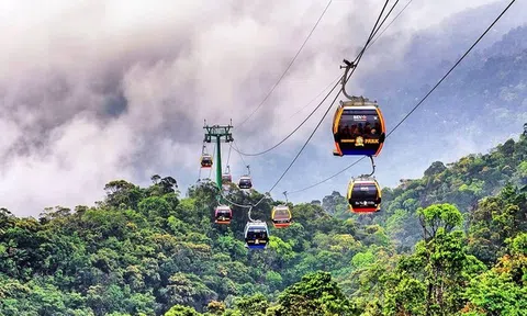 Kết quả kinh doanh của Công ty Cáp treo Bà Nà 2024: Lợi nhuận gộp ổn định, quy mô tài sản tăng