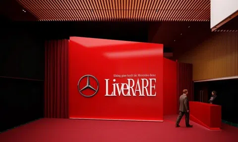 Chiêm ngưỡng dàn xe Mercedes-Benz gần 100 tỷ đồng tại ‘LiveRARE’