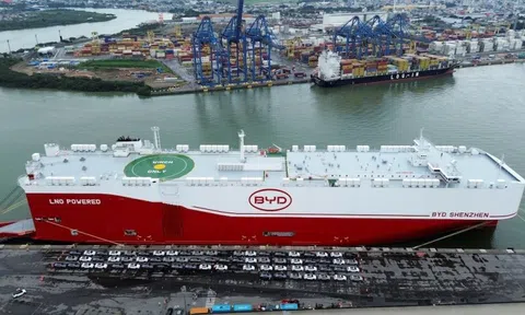 Xe điện Trung Quốc tràn ngập Brazil, đe dọa sản xuất trong nước