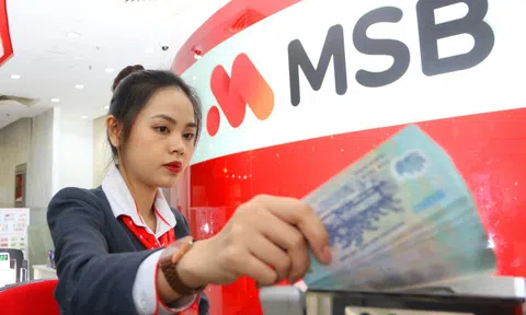 Một doanh nghiệp Nhà nước chưa thể thoái vốn tại MSB