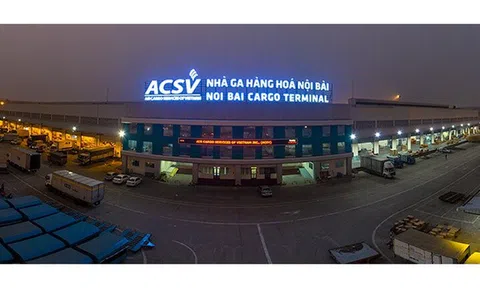Dịch vụ Hàng hoá Nội Bài mạnh tay chia cổ tức tiền mặt