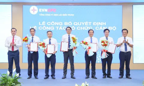 EVNCPC công bố quyết định thành lập 6 Công ty Điện lực sau sáp nhập