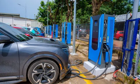 Nhà đầu tư tiết lộ lý do chọn V-Green, chi 100 tỷ đồng làm trạm sạc