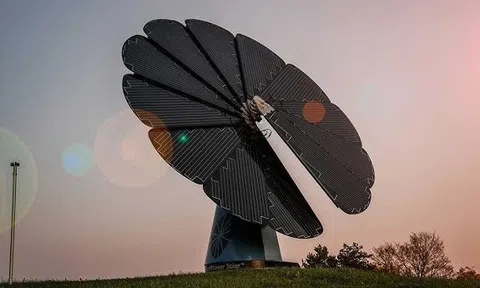 "Bông hoa hướng dương thông minh” tạo ra 6.500 kWh điện mỗi năm