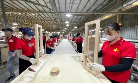 Doanh nghiệp Việt sẵn sàng cho mọi kịch bản