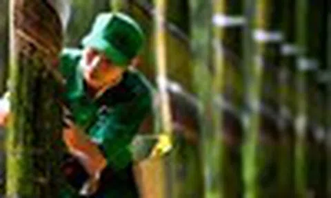 Cổ phiếu cần quan tâm ngày 9/7