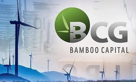 Động thái mới nhất của Bamboo Capital