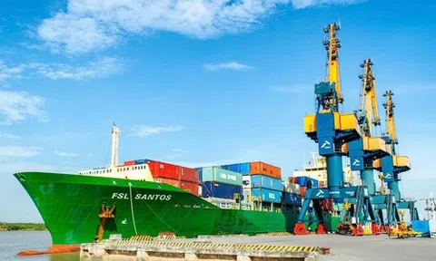 Xếp dỡ Hải An sắp phát hành gần 39 triệu cổ phiếu trả cổ tức