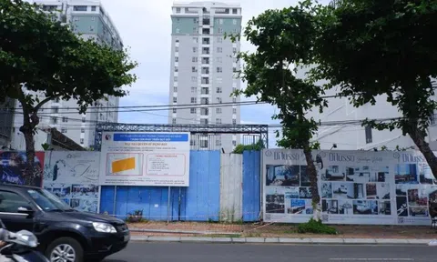 Đà Nẵng đấu giá lô đất vàng liên quan 'Vũ nhôm' thu gần 360 tỷ đồng