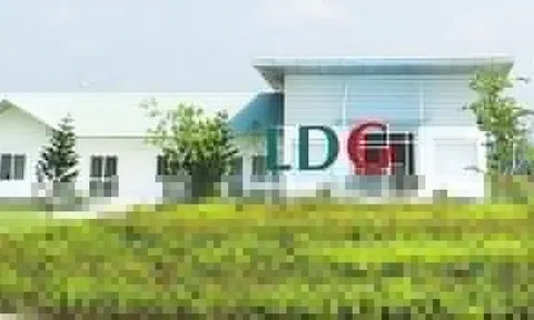 Cổ phiếu LDG tăng gấp đôi sau nửa tháng, công ty nói gì?