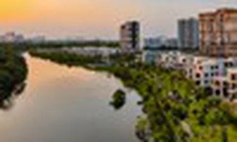 Cổ phiếu cần quan tâm ngày 15/7