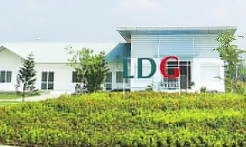 Cổ phiếu LDG tăng gấp đôi sau nửa tháng, công ty nói gì?