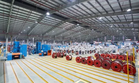 GELEX Electric lãi 1.330 tỷ đồng sau 6 tháng, mảng kinh doanh lõi gấp 2,5 lần cùng kỳ
