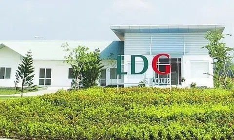Giá cổ phiếu LDG tăng vù vù khi cựu lãnh đạo ra tù