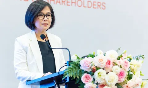 Công ty con của Vingroup bổ nhiệm Tổng giám đốc mới