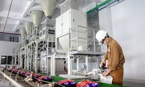 Dragon Capital giảm sở hữu tại Hóa chất Đức Giang