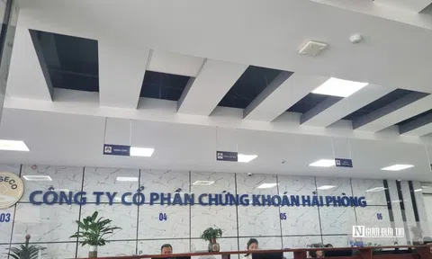 Danh mục khởi sắc, chứng khoán Haseco thoát lỗ sau nhiều quý