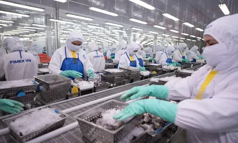 Lợi nhuận tăng trưởng, Tập đoàn PAN giảm đầu tư chứng chỉ tiền gửi