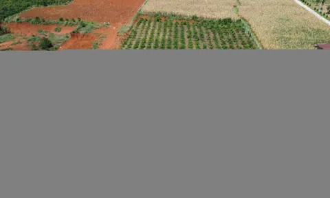 Sắp hết chuyện chuyển đổi đất vườn sang đất ở đóng thuế tiền tỷ