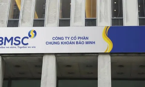 Chứng khoán Bảo Minh dự kiến huy động 1.250 tỷ đồng từ 8 nhà đầu tư