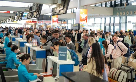 Bất ngờ về lợi nhuận của Vietnam Airlines