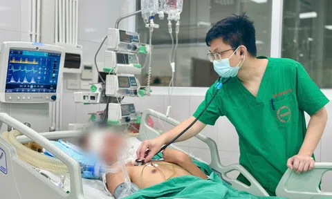 Hà Nội ghi nhận ca tử vong đầu tiên do liên cầu lợn