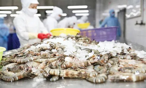 Ngành hàng xuất khẩu tỷ USD kiến nghị bỏ thuế VAT