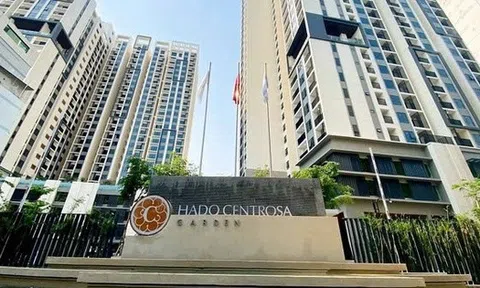 Quỹ ngoại Phần Lan tăng sở hữu tại Hà Đô lên hơn 6%