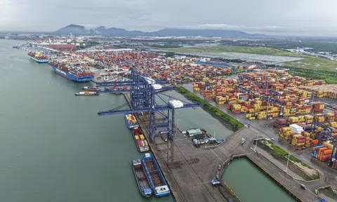 Một phường ở TP.HCM sở hữu siêu cảng trong top 10 thế giới