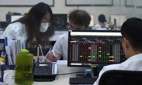 Lý do nhiều doanh nghiệp vừa nhận 'trát' giải trình