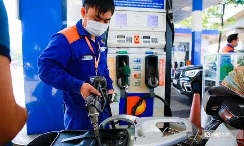 Thăng trầm các "đại gia" xăng dầu trong quý II/2025