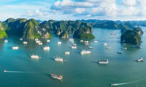 Tất cả tàu du lịch trên Vịnh Hạ Long sẽ được lắp thiết bị này trước ngày 15/8