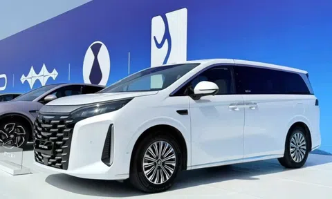 BYD M9 lộ diện tại Việt Nam, giá dự kiến vượt 2 tỷ đồng