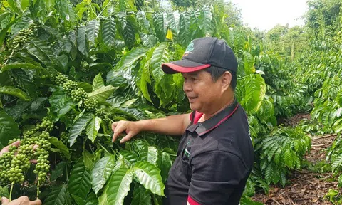 Nestlé Việt Nam thúc đẩy thực hành an toàn vệ sinh lao động trong quản lý rác thải