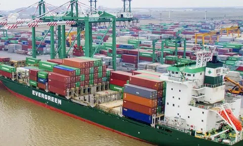 Viconship trình cổ đông kế hoạch tăng lợi nhuận năm 2025 lên 1.250 tỷ đồng