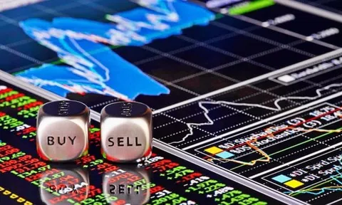 Cổ phiếu Bluechips, Midcap, Penny: Đặc điểm và cách "chọn mặt gửi vàng" cho nhà đầu tư mới