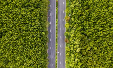 Lý do Cần Giờ, Côn Đảo có thể là 'thiên đường' xe điện của TP.HCM