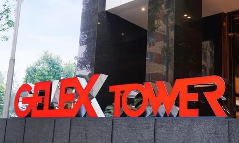 Gelex sắp IPO mảng hạ tầng