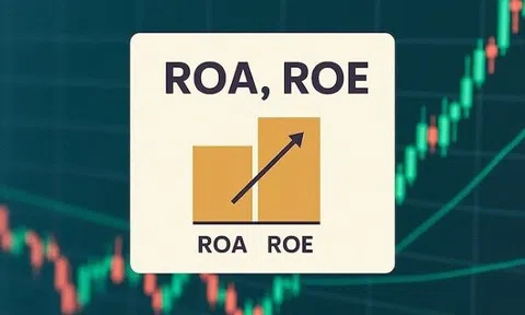 Phân tích cơ bản cho người mới: Hiểu đúng về ROA và ROE