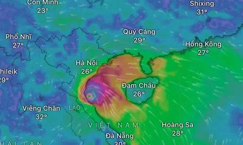 Tâm bão số 5 vào Nam Nghệ An - Bắc Hà Tĩnh, chuyên gia cảnh báo về khoảng lặng gió nguy hiểm