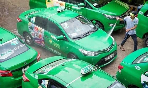 Mai Linh sẽ đầu tư vào xe điện, mục tiêu lãi kỷ lục