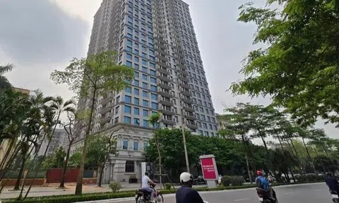 Căn hộ cho thuê 'lên ngôi' vì giá nhà tăng quá cao